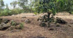 Venta de Terreno en La Calí, Municipio de Santa Ana