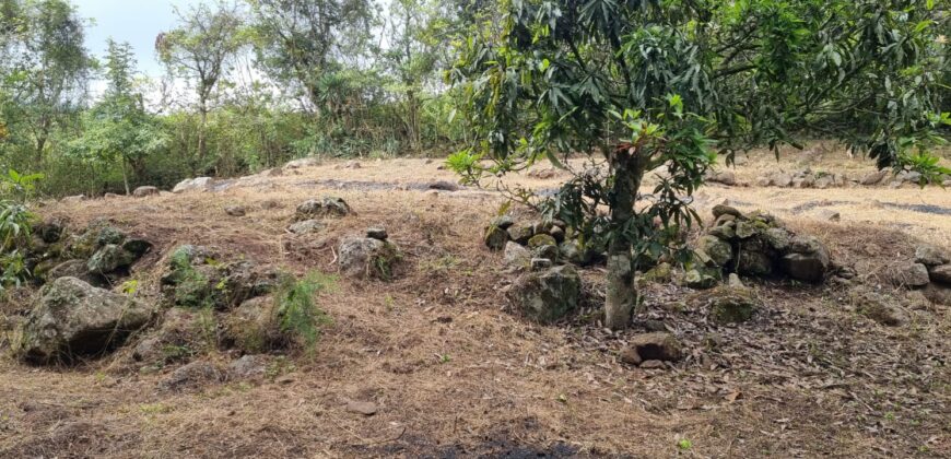 Venta de Terreno en La Calí, Municipio de Santa Ana