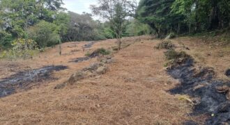 Venta de Terreno en La Calí, Municipio de Santa Ana
