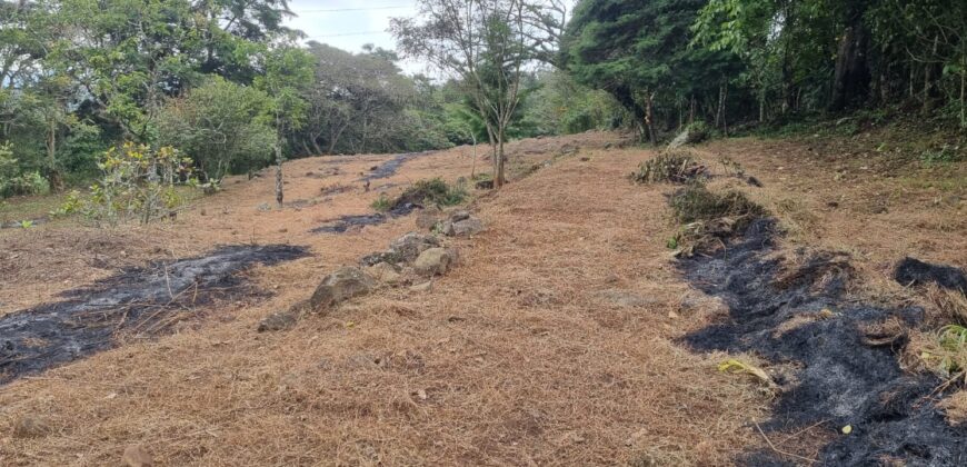 Venta de Terreno en La Calí, Municipio de Santa Ana