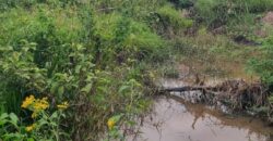 Venta de Propiedad en el Municipio de Cedros, Francisco Morazán