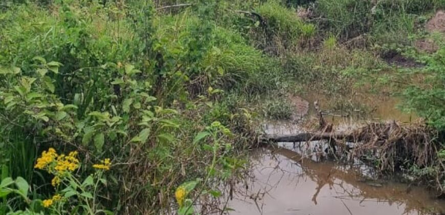 Venta de Propiedad en el Municipio de Cedros, Francisco Morazán