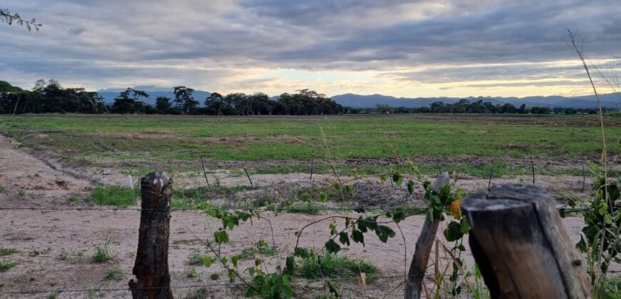 Venta de Propiedad en el Municipio de Cedros, Francisco Morazán
