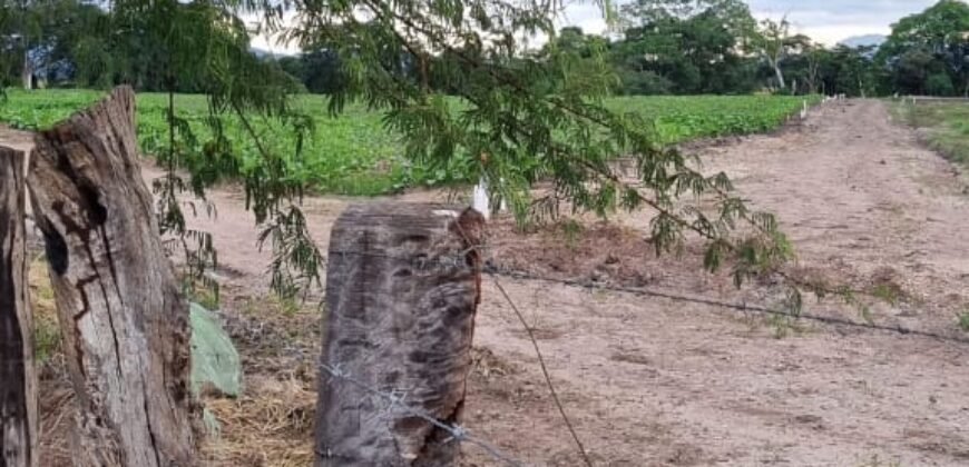 Venta de Propiedad en el Municipio de Cedros, Francisco Morazán