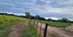 Venta de Propiedad en el Municipio de Cedros, Francisco Morazán