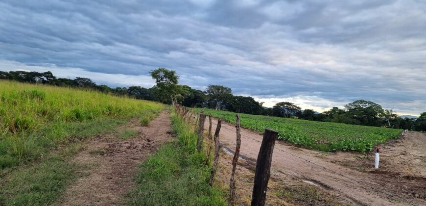 Venta de Propiedad en el Municipio de Cedros, Francisco Morazán