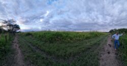 Venta de Propiedad en el Municipio de Cedros, Francisco Morazán