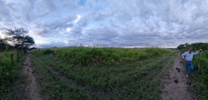 Venta de Propiedad en el Municipio de Cedros, Francisco Morazán