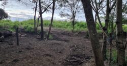 Venta de Propiedad en el Municipio de Cedros, Francisco Morazán