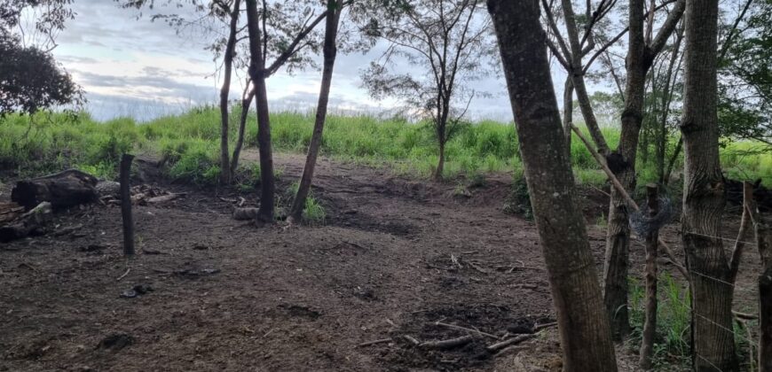 Venta de Propiedad en el Municipio de Cedros, Francisco Morazán