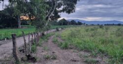 Venta de Propiedad en el Municipio de Cedros, Francisco Morazán