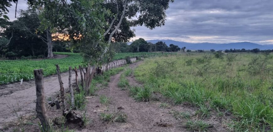 Venta de Propiedad en el Municipio de Cedros, Francisco Morazán