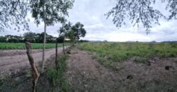 Venta de Propiedad en el Municipio de Cedros, Francisco Morazán