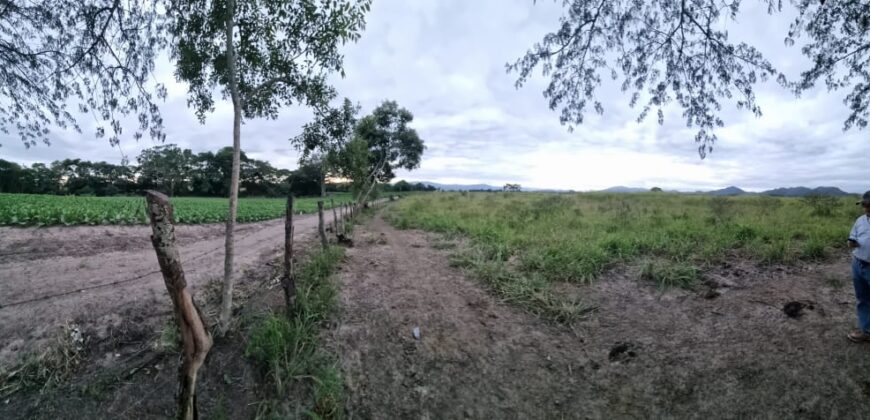 Venta de Propiedad en el Municipio de Cedros, Francisco Morazán