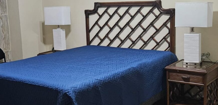 Renta Apartamento Amueblado Colonia Lomas del Guijarro