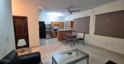 Renta Apartamento Amueblado Colonia Lomas del Guijarro