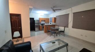 Renta Apartamento Amueblado Colonia Lomas del Guijarro