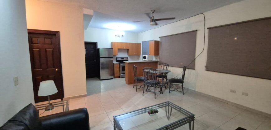 Renta Apartamento Amueblado Colonia Lomas del Guijarro