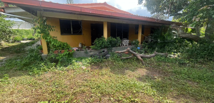 Venta de Casa Colonia El Naranjal, La Ceiba.