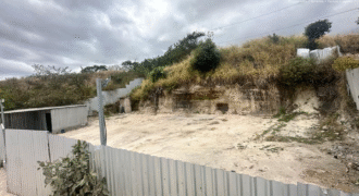 Alquiler de Plantel Colonia América.