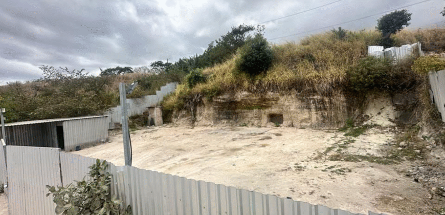 Alquiler de Plantel Colonia América.