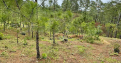 Venta de Terreno Residencial Miralago, El Hatillo.8