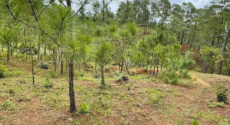 Venta de Terreno Residencial Miralago, El Hatillo.8