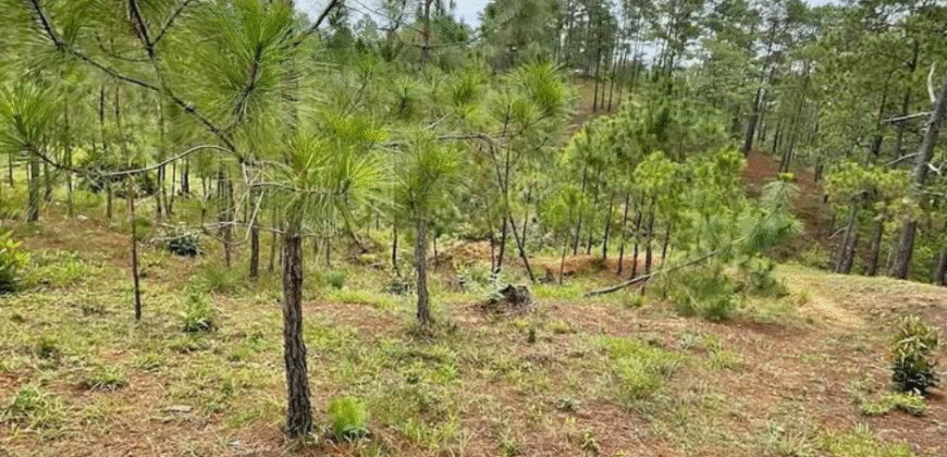 Venta de Terreno Residencial Miralago, El Hatillo.8