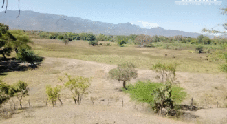 Venta de Propiedad Villa de San Antonio, Depto. de Comayagua.