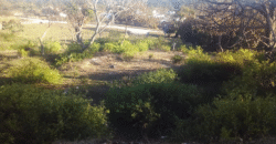 Venta de Terreno En Santa Ana, Fco. Morazán.