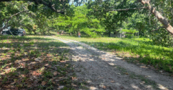 Venta de Terreno En La Aldea de Cuyamel, Sambo Creek, La Ceiba.