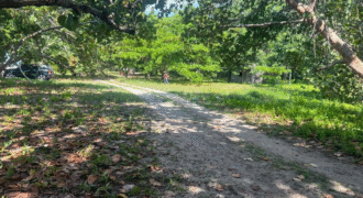 Venta de Terreno En La Aldea de Cuyamel, Sambo Creek, La Ceiba.
