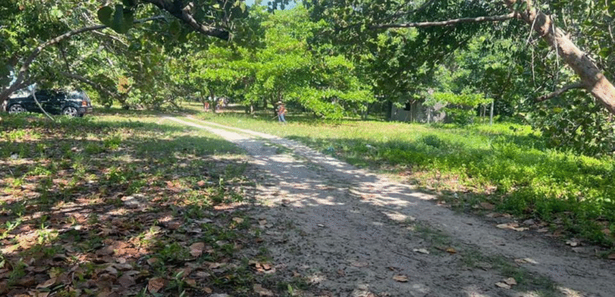 Venta de Terreno En La Aldea de Cuyamel, Sambo Creek, La Ceiba.