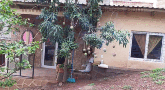 Venta de Casa Residencial El Trapiche