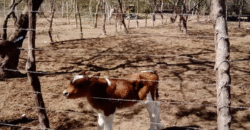 Venta de Propiedad Villa de San Antonio, Depto. de Comayagua.