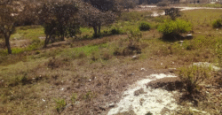 Venta de Terreno En Santa Ana, Fco. Morazán.