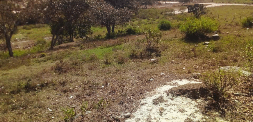 Venta de Terreno En Santa Ana, Fco. Morazán.