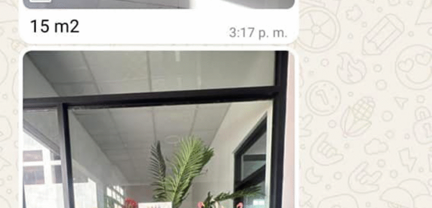 Renta de Locales Colonia San Miguel