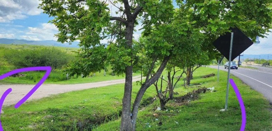 Venta de Propiedad en Zapotillo Departamento de Comayagua.