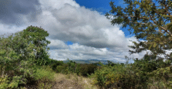 Venta Terrenos Residencial Mirador Los Hidalgos.