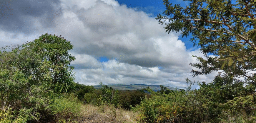 Venta Terrenos Residencial Mirador Los Hidalgos.