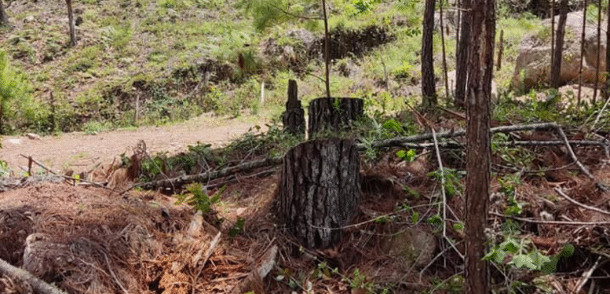 Venta de Terreno Colonia el Pedrero Santa Lucía, Francisco Morazán.