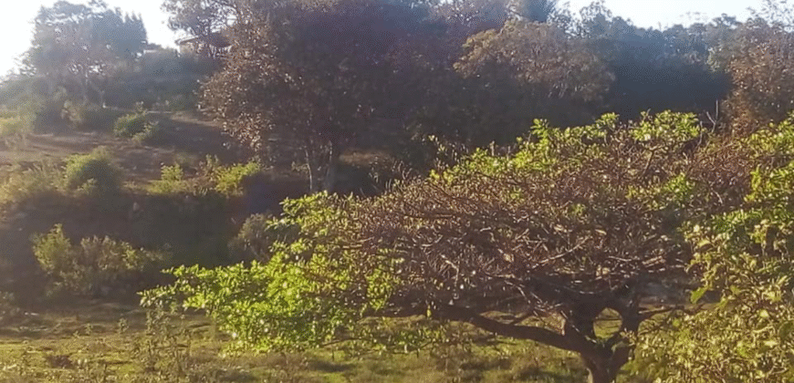 Venta de Terreno En Santa Ana, Fco. Morazán.