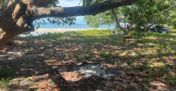 Venta de Terreno En La Aldea de Cuyamel, Sambo Creek, La Ceiba.