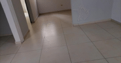 Venta Edificio Apartamentos Residencial Palma Real.