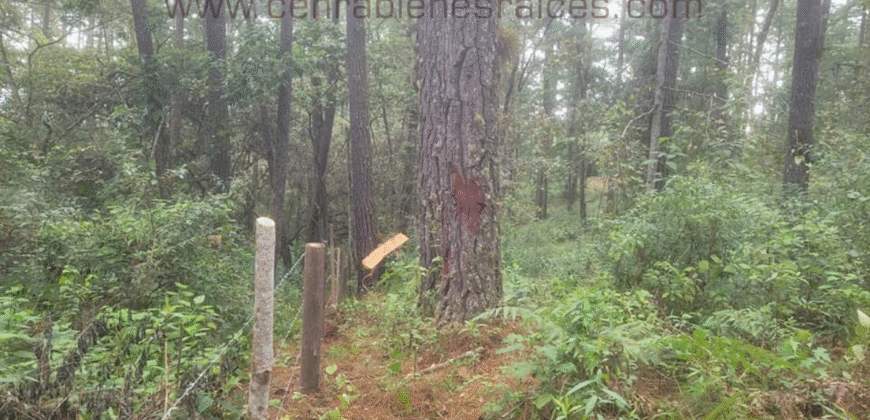 Venta de Terreno Zona El Tablón, El Hatillo,