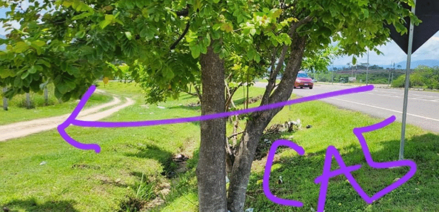 Venta de Propiedad en Zapotillo Departamento de Comayagua.