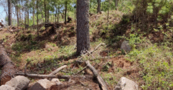 Venta de Terreno Colonia el Pedrero Santa Lucía, Francisco Morazán.