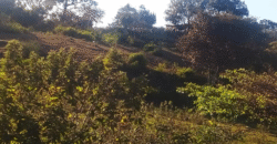 Venta de Terreno En Santa Ana, Fco. Morazán.