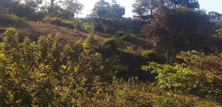 Venta de Terreno En Santa Ana, Fco. Morazán.